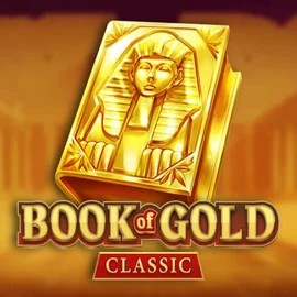 game logo by Playson on machospin.eu